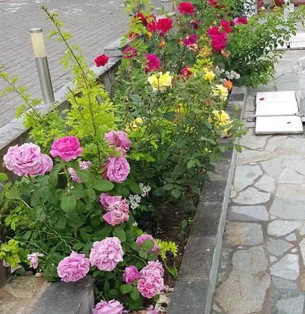 Olympia By Pro - Halkidiki Guest house *