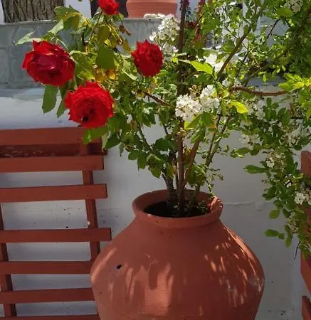 Guest house Olympia By Pro - Halkidiki *